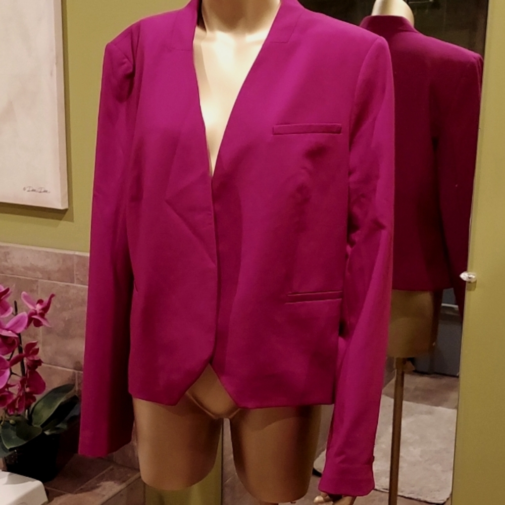 The Limited deep magenta jacket.  Size xl